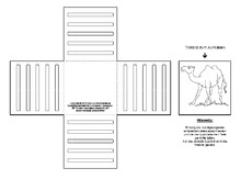 Lapbook-Minibuch-Faltform-Kamel-B-1-5.pdf